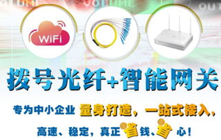 拨号杆上的数字魅影 信息技术服务如何赋能传统商业