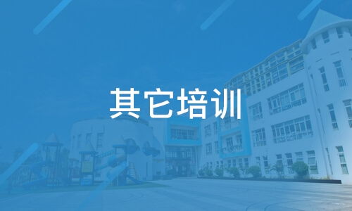 上海质远信息技术服务与淘学培训深度解析 靠谱吗？